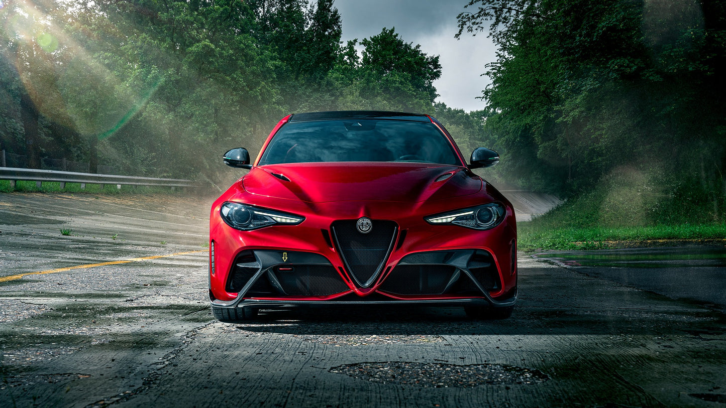 Alfa Romeo Giulia GTA car art print for automotive enthusiasts UAE